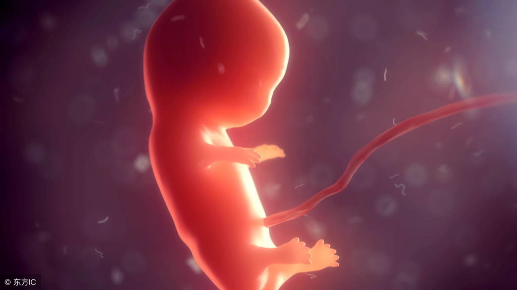 胎儿1-40周的发育过程是怎样的？40周每周的新变化都全了，快收藏