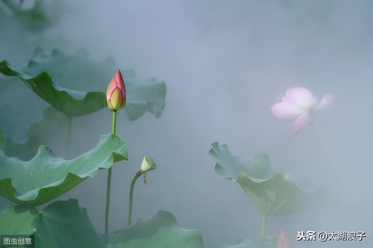 花街柳巷亦能孕育流芳百世的宋词大家