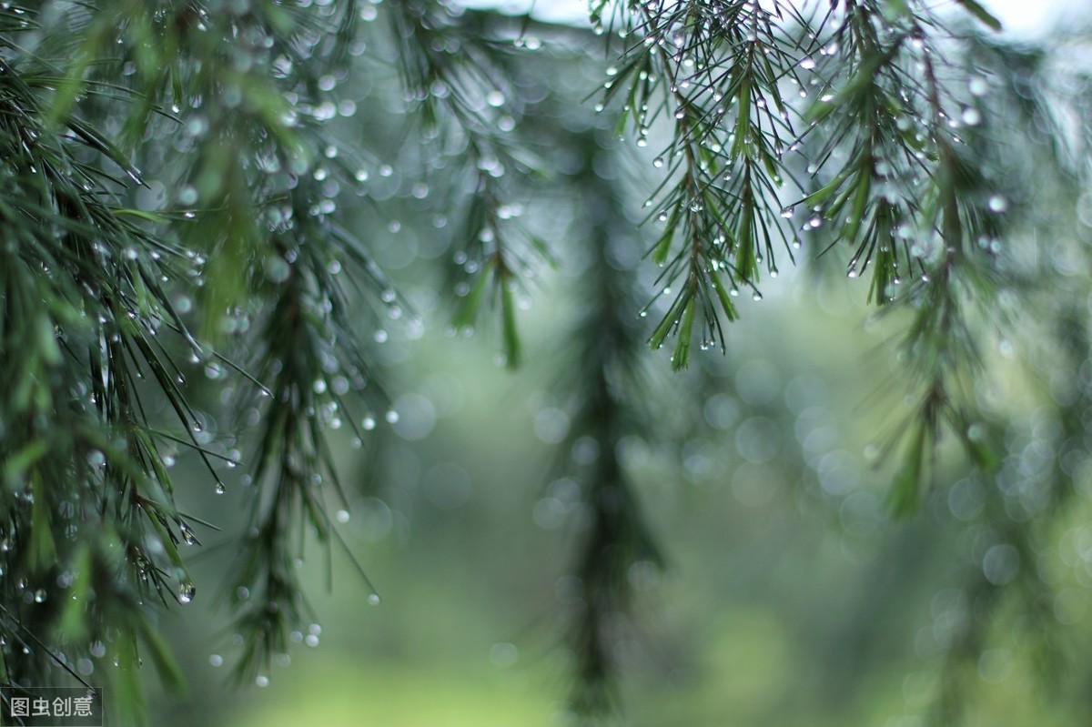 一场雨生出万般情，古诗词中的雨，清晰灵动，唯美至极