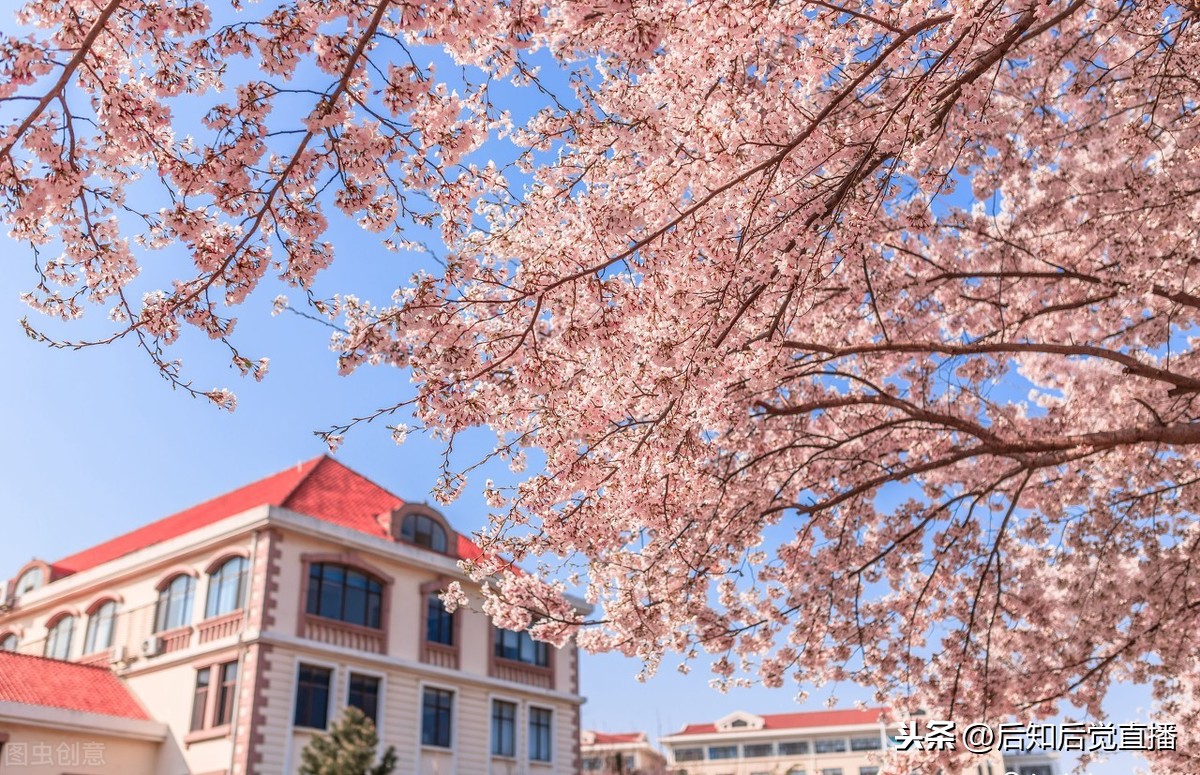 中國海洋大學圖片,中國海洋大學圖片高清全景圖-愛妻自媒體