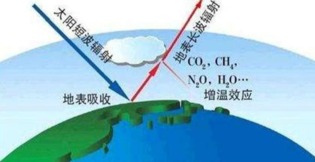 专家解读：黑色地膜和白色地膜的区别