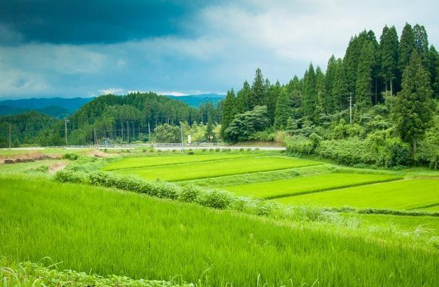 辛弃疾的《清平乐·村居》，那是我们向往的生活！