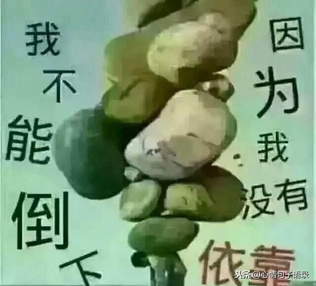 是狼就得吃肉，是人就得奋斗 最穷不过要饭，不死终能出头