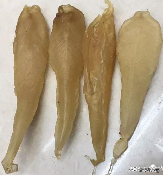 赤嘴魚膠一斤多少錢最新最細的魚膠大全