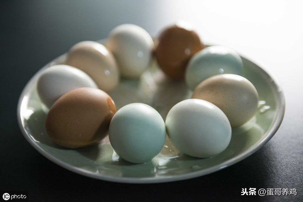一天吃几个富硒蛋才合适？记住这几点，再也不被忽悠了