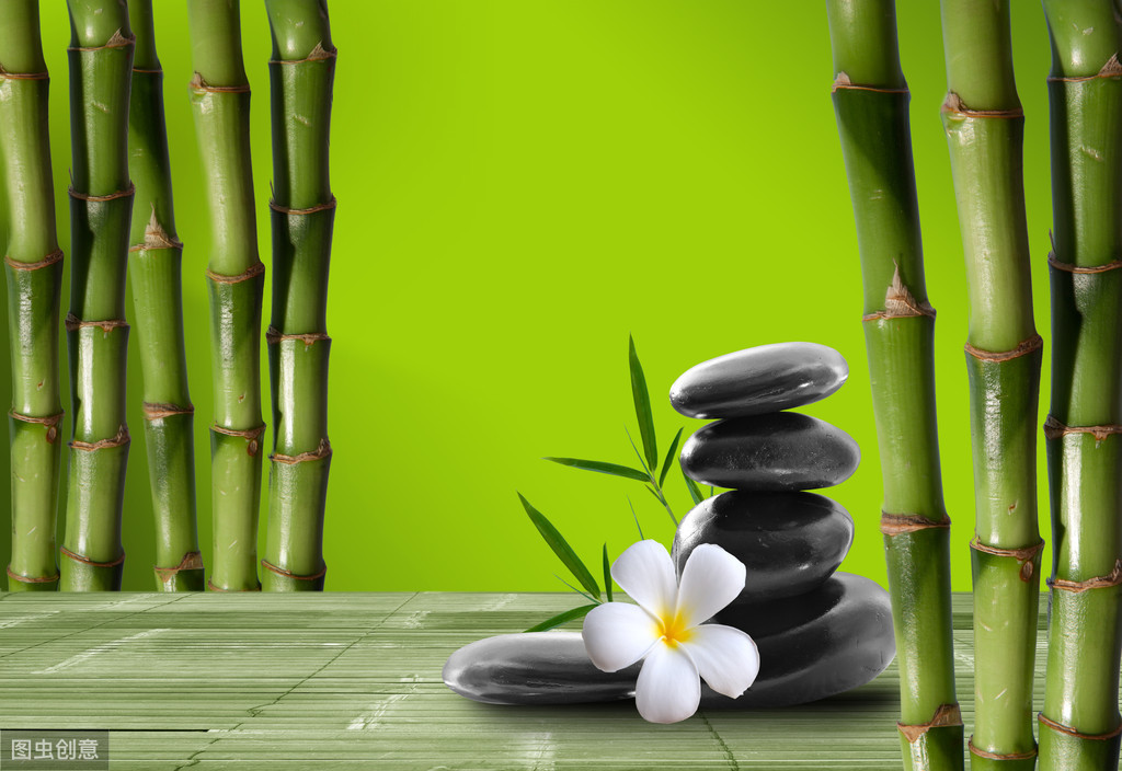 读诗|云赏花4：竹——千磨万击还坚劲