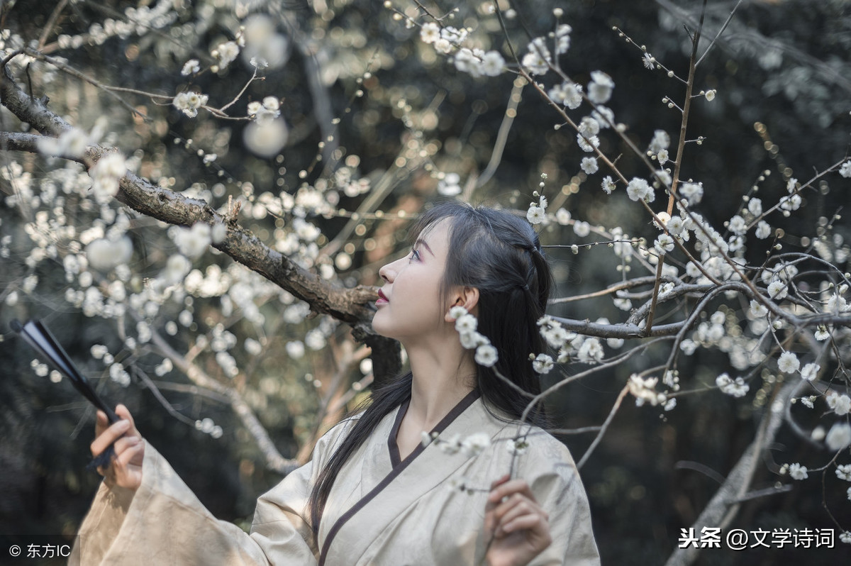 “待我长发及腰”下一句，你知道吗？太美了