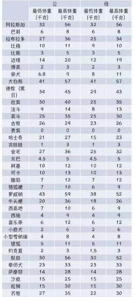 怎么判断幼犬是否吃饱（教你4招来判断狗狗吃饱没）