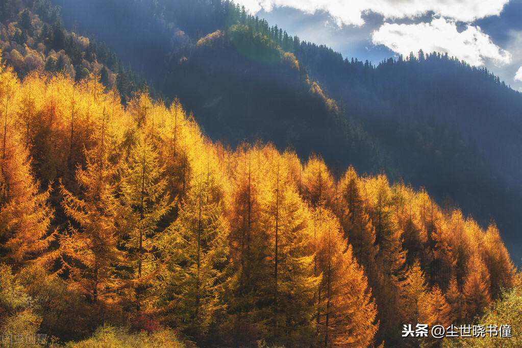 秋意渐浓凉风习习，杨万里夜晚散步即景写景，写下一首很唯美的诗