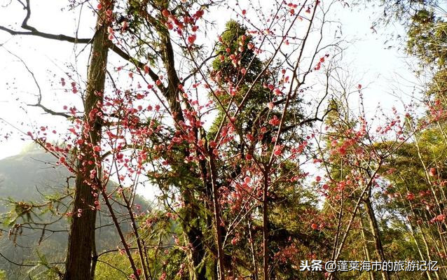 天游峰——武夷山的最高峰