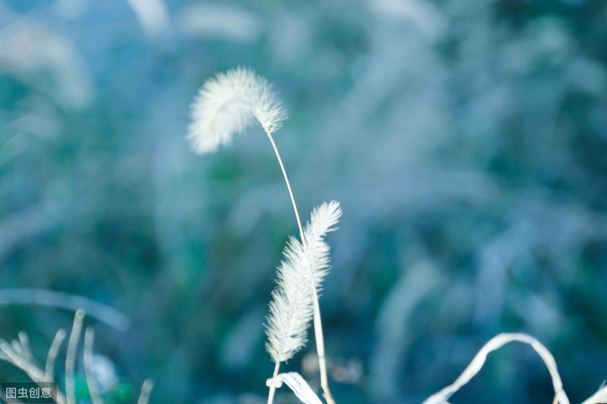 詹青云华语辩论世界杯辩题(《活着》揭示生活的真理：人生幸福与否，要等到最后才明白)