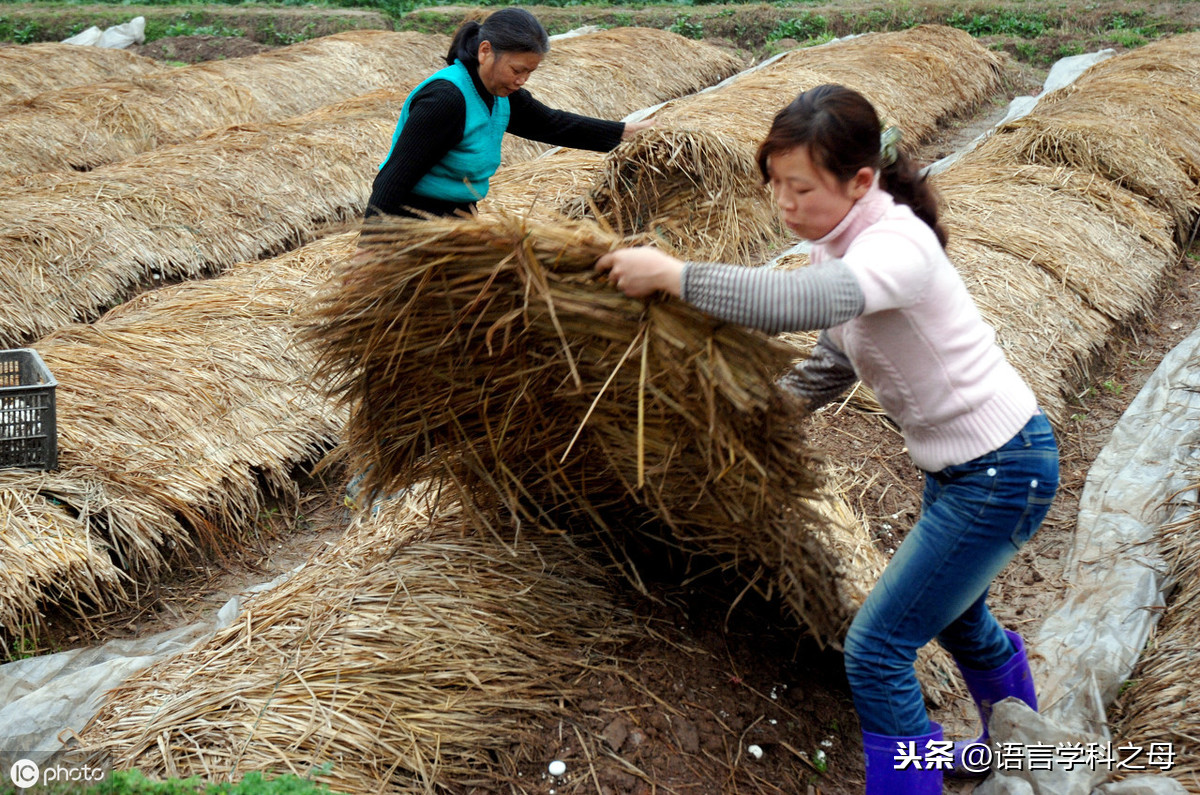 lie怎么读（烈怎么读）-第3张图片-昕阳网