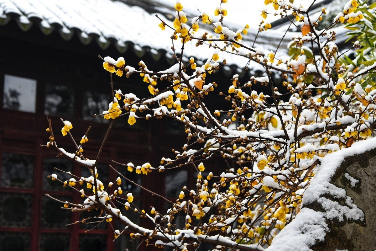 含有冬字的诗句100首飞花令(带有冬字的古诗词100首)