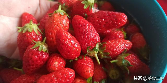 济南草莓大降价，25元买了5斤，教你正确清洗方法，健康最重要