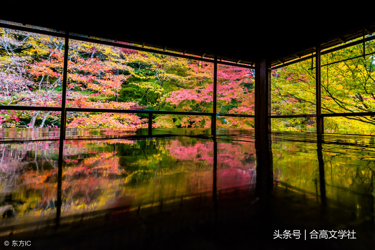 唯美诗词｜小风雨，尘香花落，闲窗景，天上人间