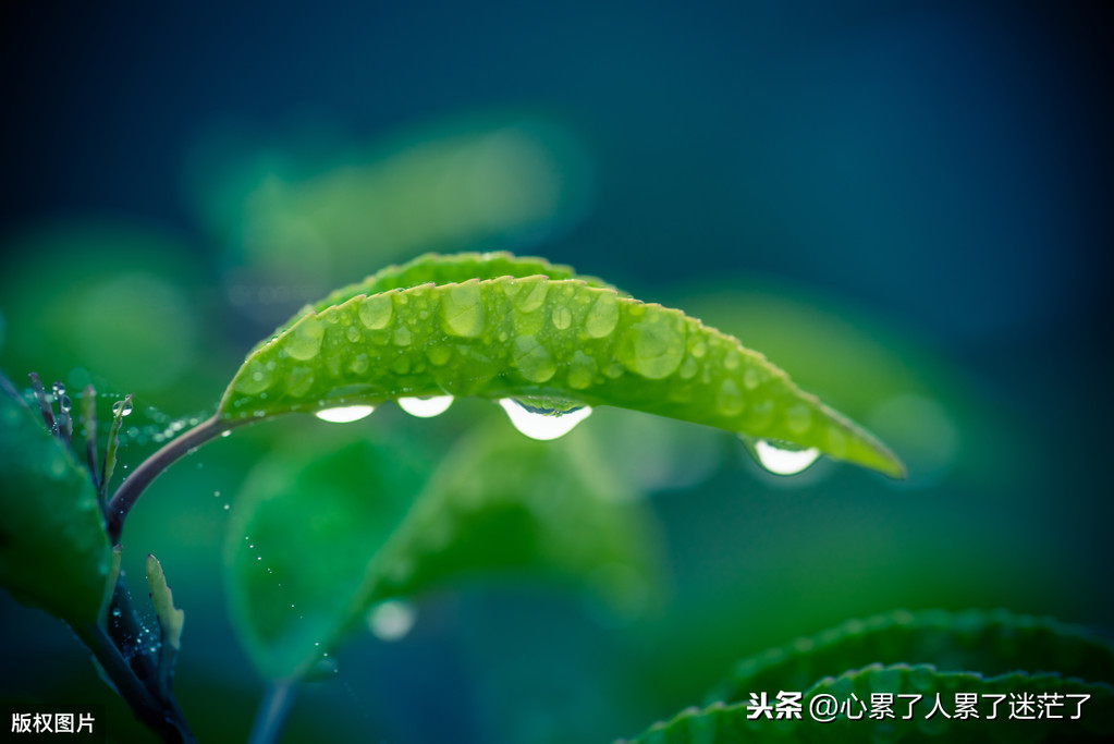 心灵鸡汤人生感悟，与人相处，需要讲究方式方法