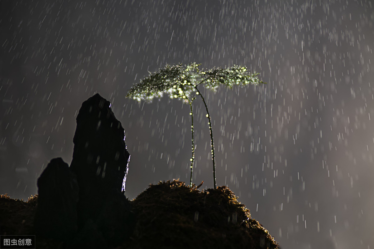 描写（雨）的古诗词100卷 红楼隔雨相望冷，珠箔飘灯独自归