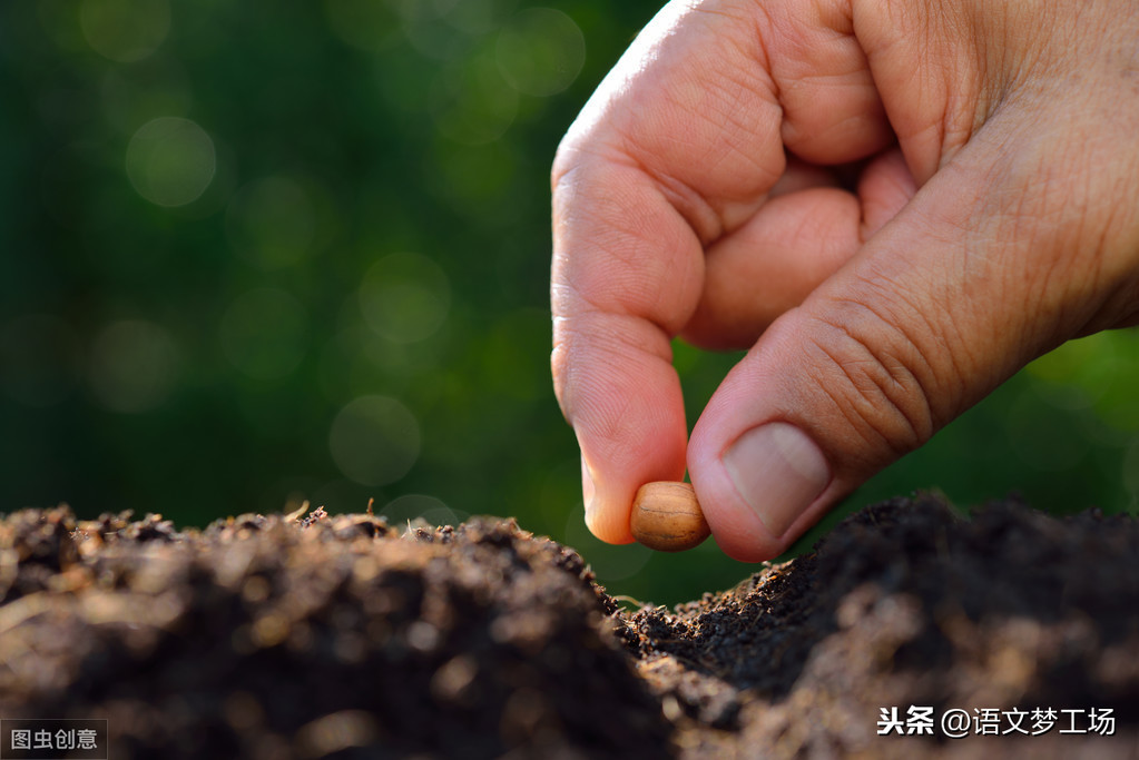 2020中考13道作文预测题导写（含例文）