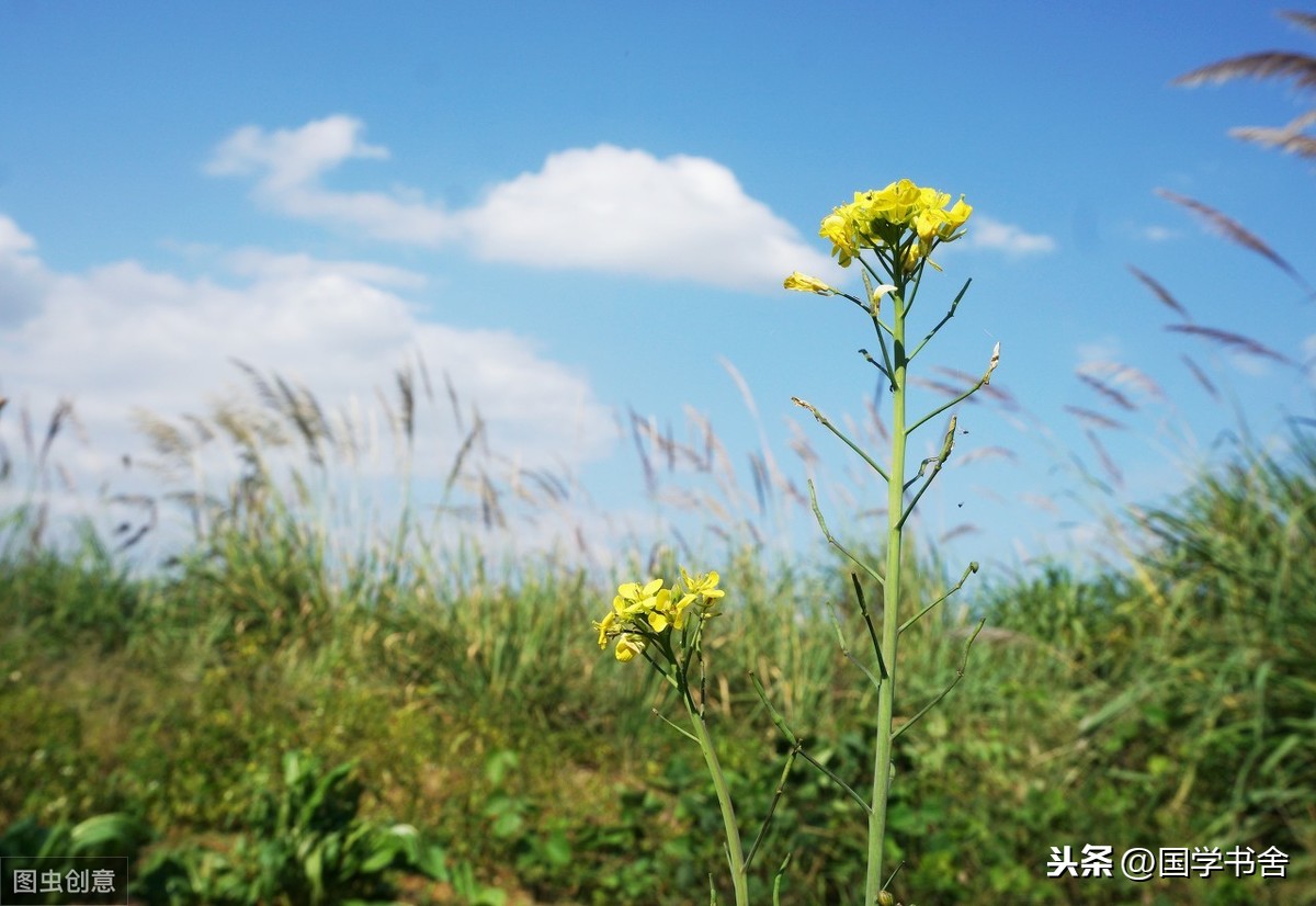 《菜根谭》：对小人不恶，对君子有礼，方为智者