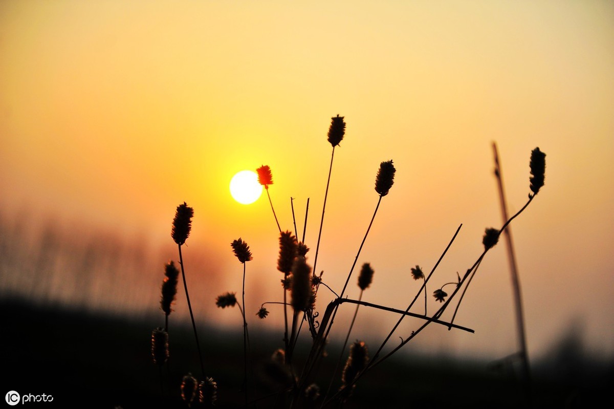 赞美夕阳的10首诗，句句都是经典，张口能吟