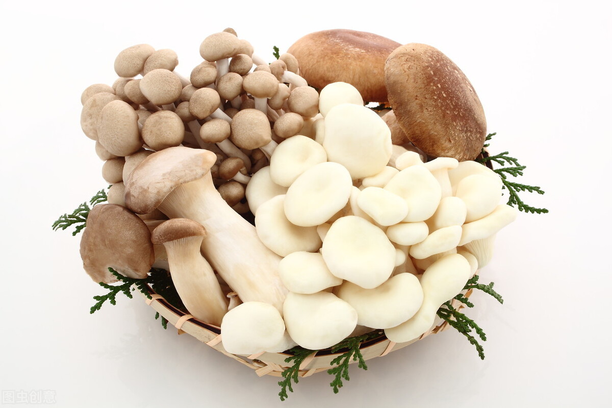 蘑菇的组词（蘑菇的组词还有几个）-第6张图片-尚力财经