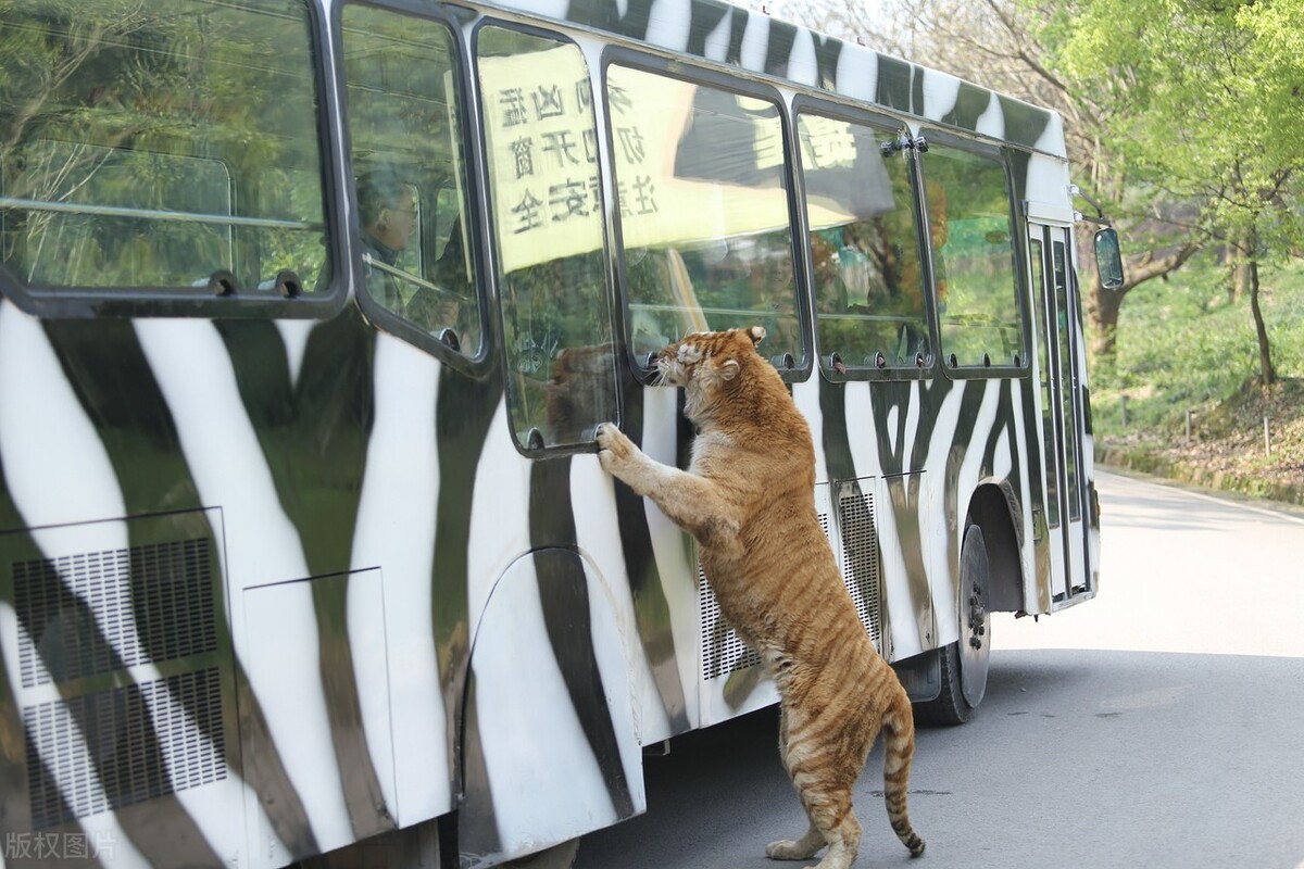 景致记录：重庆永川野生动物园