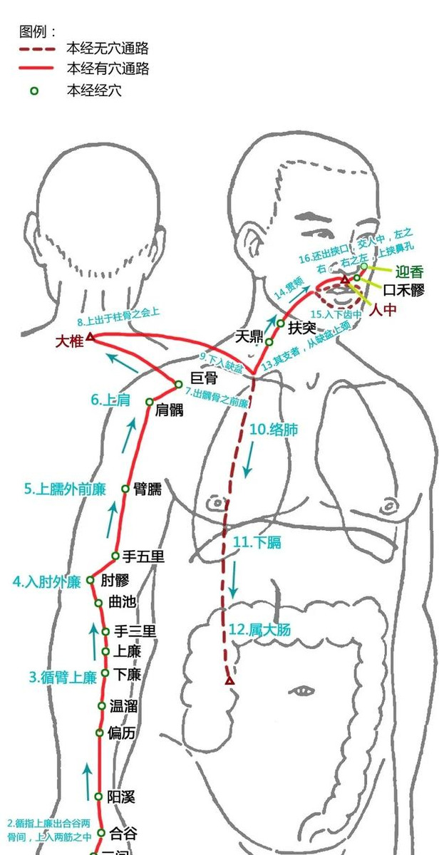 十二经脉太难记？这篇十二经脉解读汇总全告诉你！附歌诀、高清图