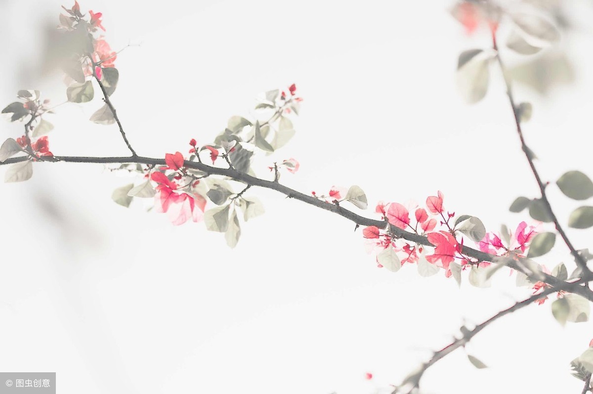 以伤感之哀弦，奏别离之韵调：柳永《雨霖铃》解读