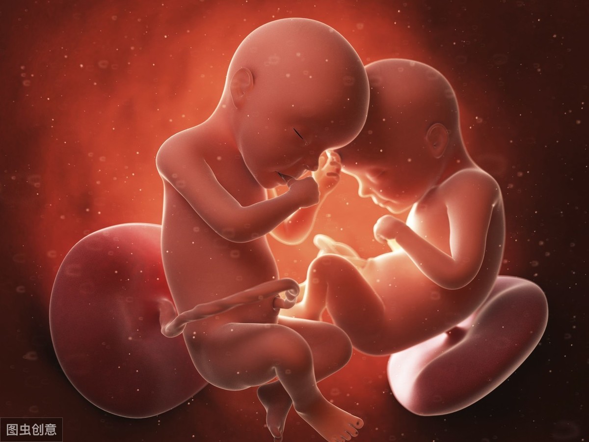 怀孕42天胎儿图片图片