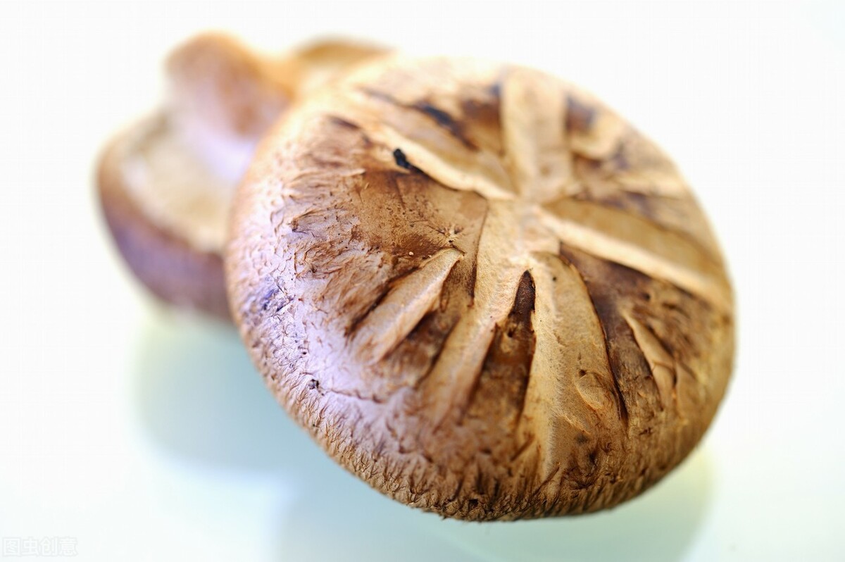 蘑菇的组词（蘑菇的组词还有几个）-第16张图片-尚力财经