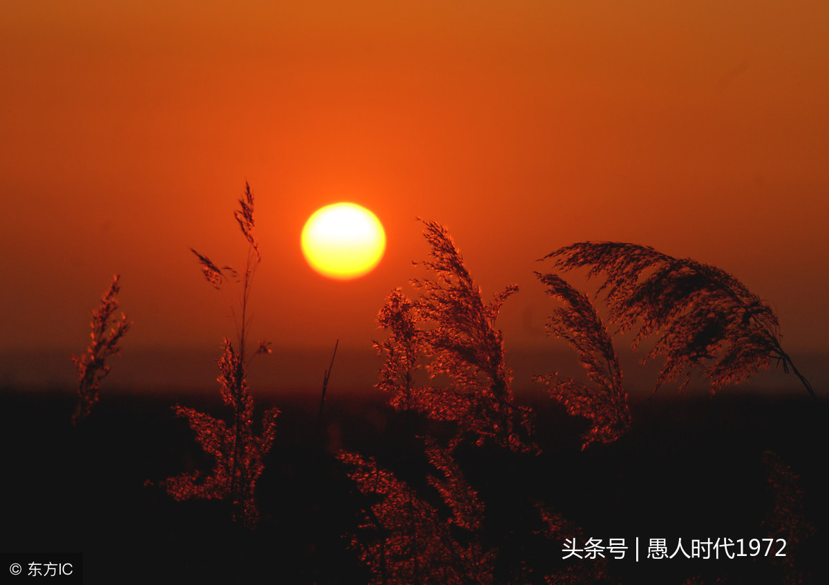 七言，秋江落日