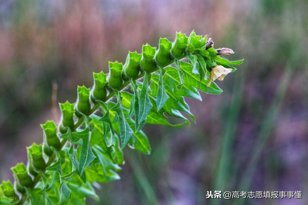 大学慢慢谈之华北电力大学（北京）