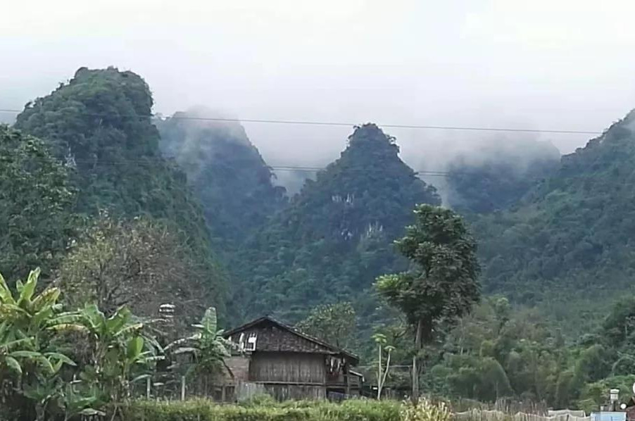 为保护战友和电台他毅然拉响手榴弹与敌同归于尽，战后却未立功