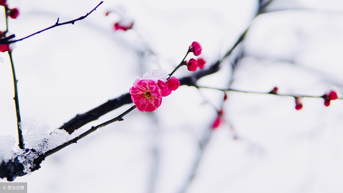 北国风光，千里冰封，万里雪飘；十首描写冬景的经典诗词