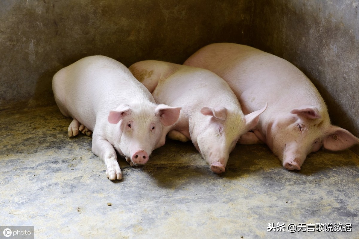 2019年10月27日安徽部分地区的猪肉价格行情（白条肉价格）