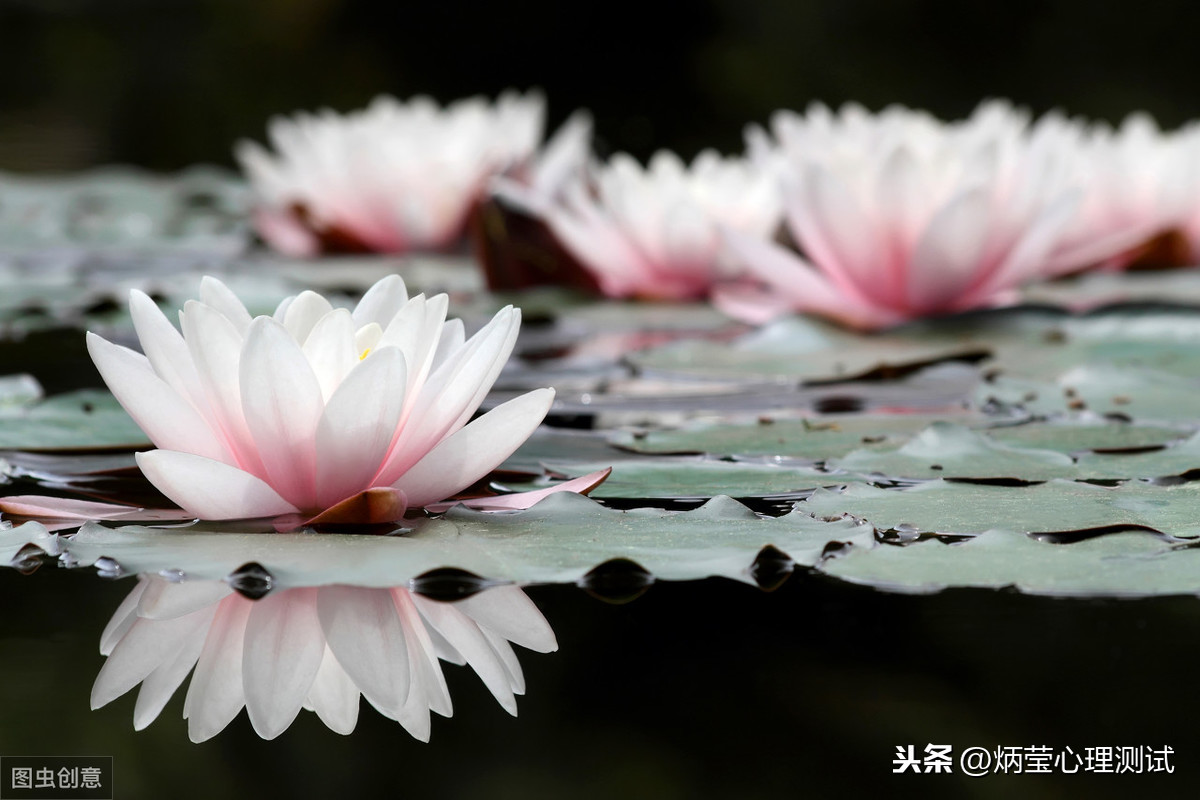 心理测试：用你的出生日期测你上辈子的名字