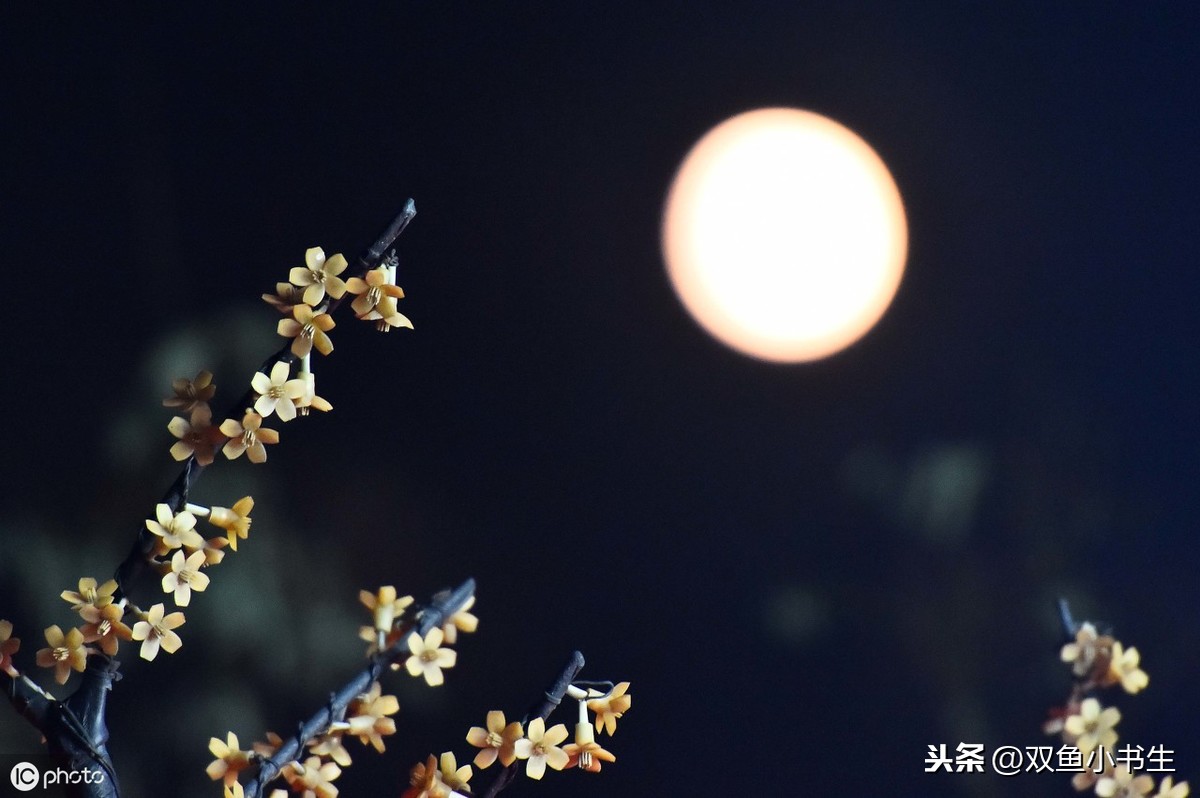 水调歌头—子瞻和子由的中秋诗词名篇赏析