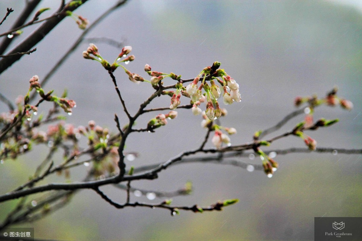 清明时节雨纷纷 路上行人欲断魂 借问酒家何处有 牧童遥指杏花村