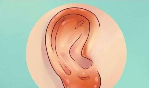 人的耳朵随年龄越来越大，每天做10分钟“耳朵操”，身体会更健康