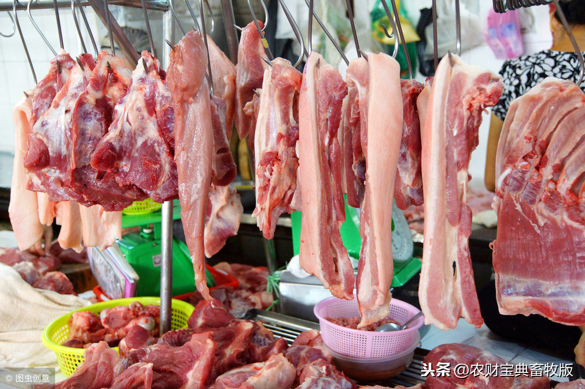 冻肉抛售，短期内猪价难涨！广西猪价全国最低，跌至6.2元/斤
