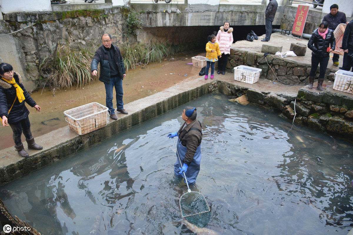 养殖水泥池塘，4个脱碱方法，帮你轻松搞掂缺氧问题，你都知道吗