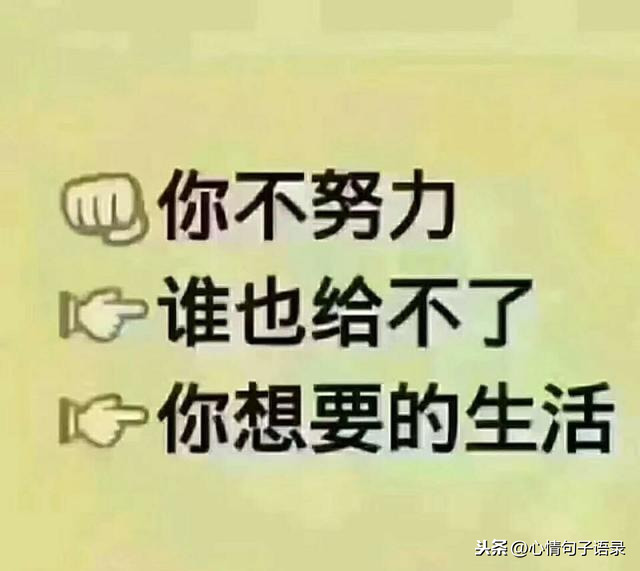 是狼就得吃肉，是人就得奋斗 最穷不过要饭，不死终能出头