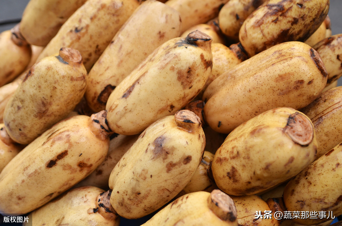北京新发地：大葱、白豆角价格下降，莲藕、丝瓜小幅上涨