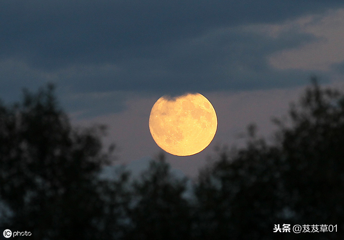 中秋圆月夜，但愿人长久，千里共婵娟