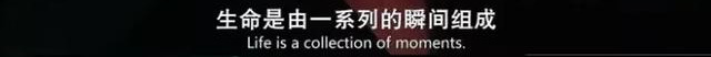 “命好福气深”的女生，身上都有这4个特质！无一例外...