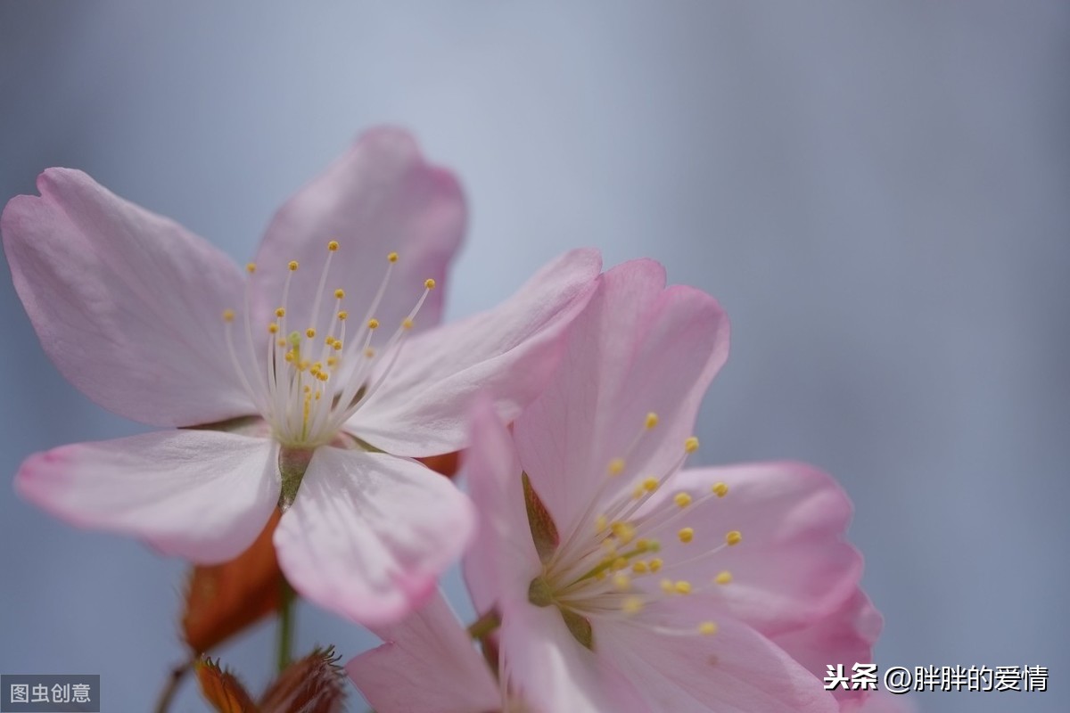 奢望造句別奢望太多的說說奢望什麼意思3