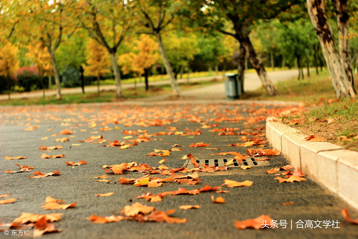 唯美诗词｜小风雨，尘香花落，闲窗景，天上人间