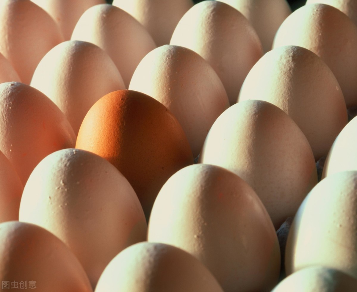 十堰今日鸡蛋多少钱一斤「今日鲜鸡蛋价格是多少」
