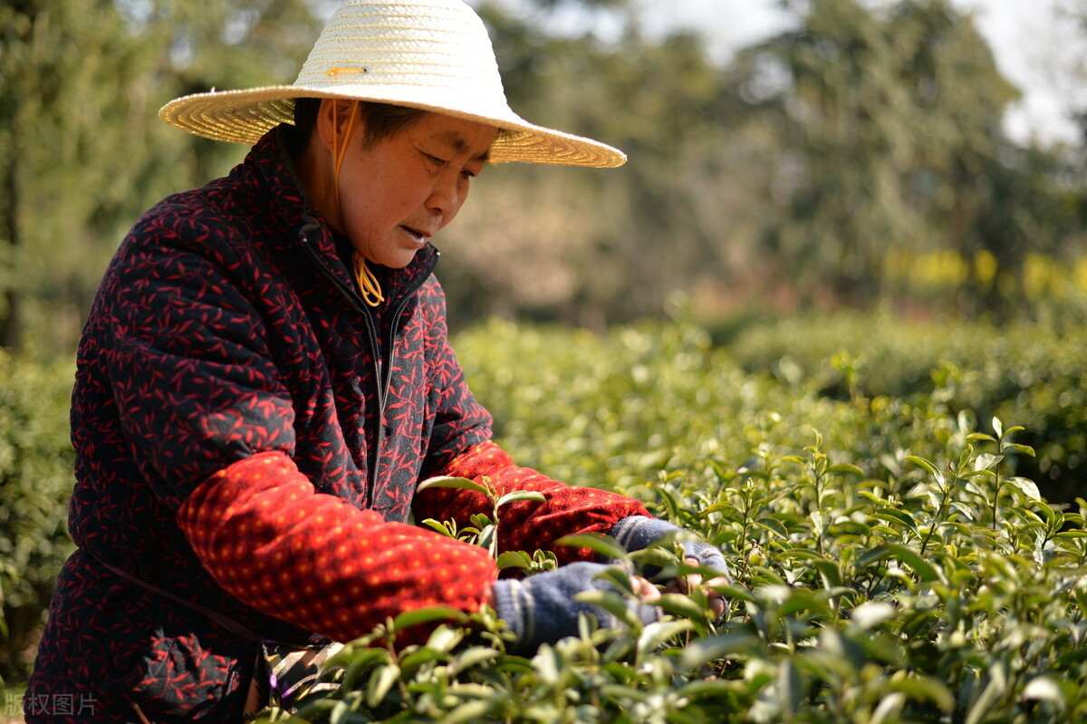 很多人来争抢点(村民并不以种地为生，可为何越来越多的村民喜欢争抢农村土地呢？)