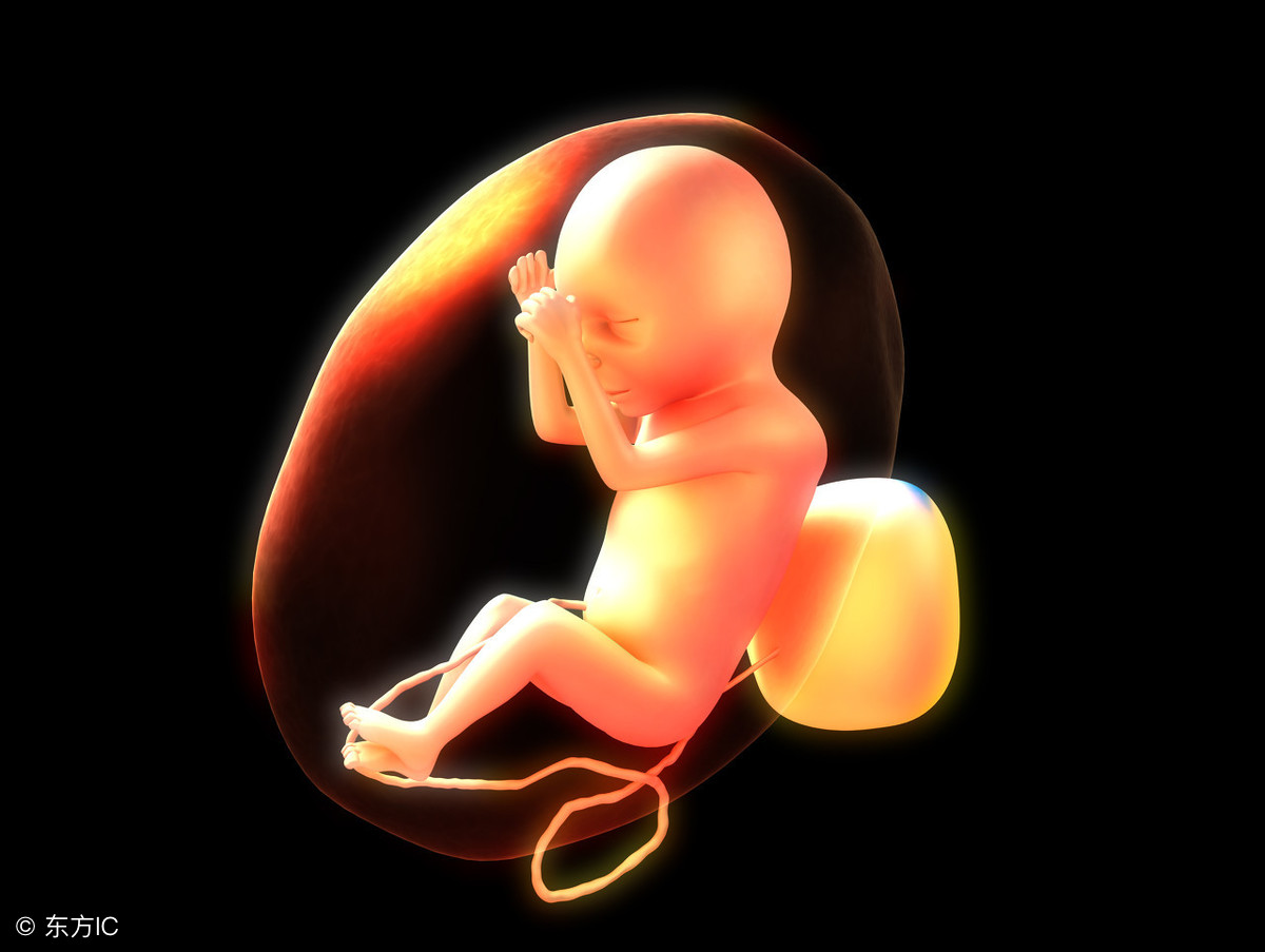 婴儿成长表1一12个月顺口溜详解（1-12月宝宝成长标准，你的宝宝发育达标了吗？） | 说明书网